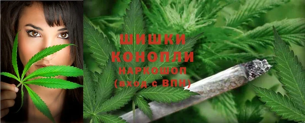 2c-b Пересвет
