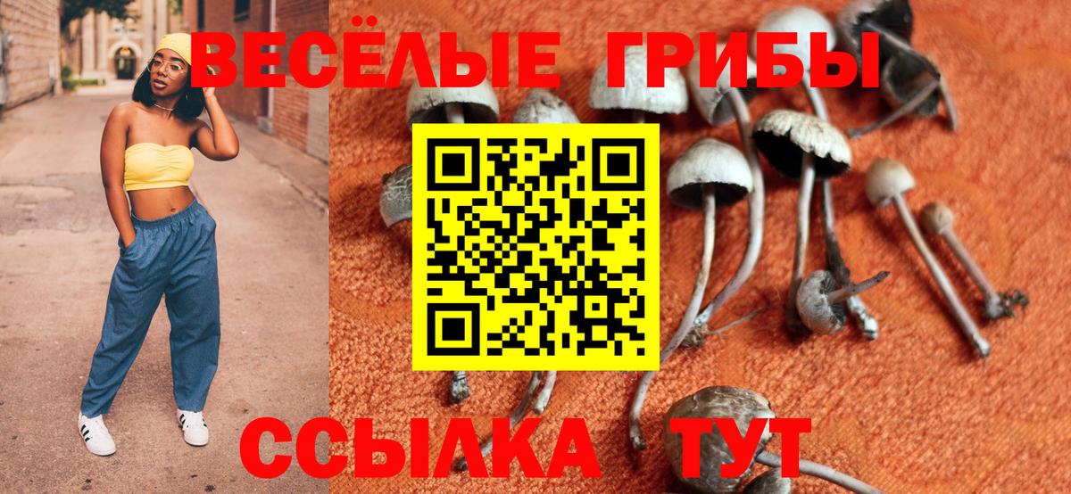 Псилоцибиновые грибы мицелий  Вход с VPN  Александров 